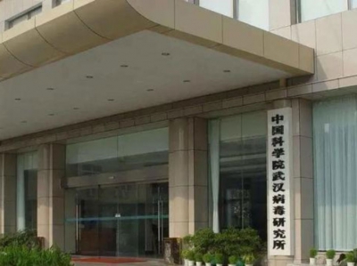 中国科学院武汉病毒研究所项目